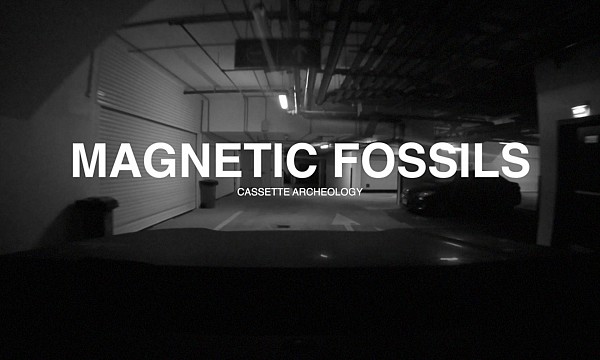 Magnetic Fossils